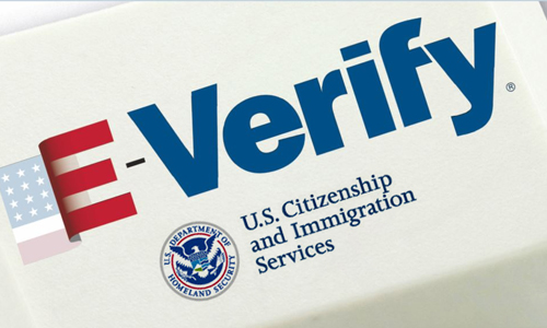 Employers using E-Verify should download and preserve the data by end of the year