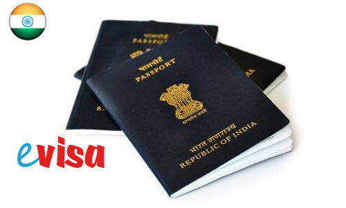 700 percent growth recorded in last month's E-visa arrivals in India