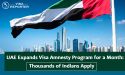 UAE Expands Visa Amnesty Program for a Month: Thousands of Indians Apply